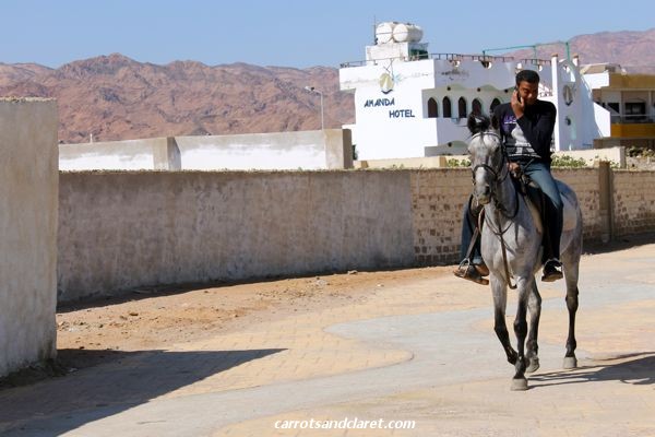 Man on an Arab