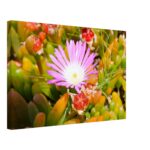 Wall Canvas Wrap Beautiful Flower Wall Art Canvas Bright Flowers Home Decor Gift Idea Flowers Gift For Her